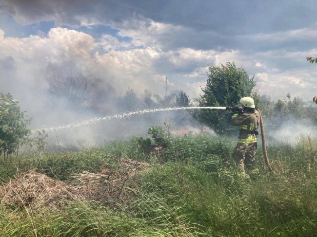 На Волині від удару блискавки загорівся хлів: загинули свині