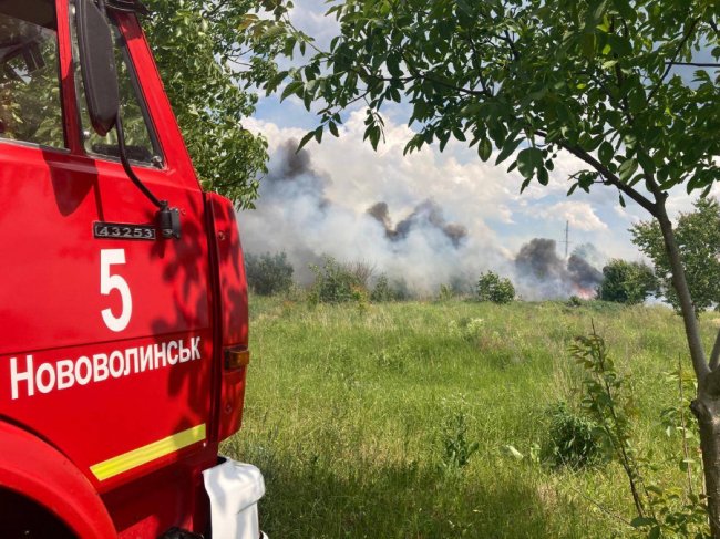 На Волині від удару блискавки загорівся хлів: загинули свині