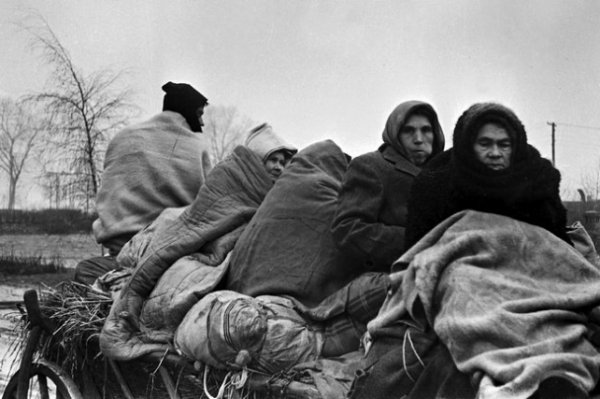 Унікальні фото звільнення табору Аушвіц