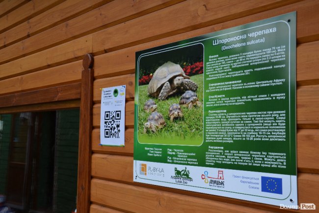 У Луцькому зоопарку збиратимуть кошти на лемура за допомогою сучасних технологій