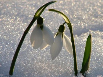 Погода в Луцьку та Волинській області на завтра, 3 березня