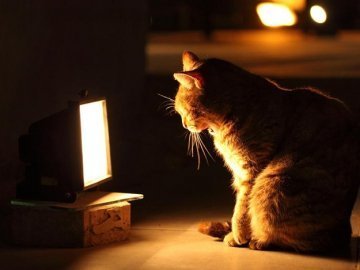 Де на Волині та у Луцьку не буде світла 17 вересня