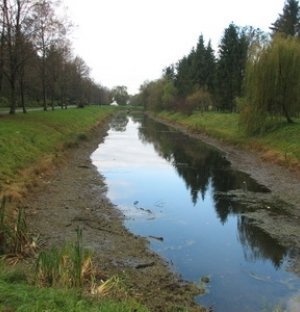 У Центральному парку Луцька розчищають меліоративні канали. ФОТО
