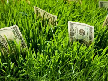 На Волині у власність держави повернули кілька земельних ділянок вартістю понад 640 мільйонів гривень