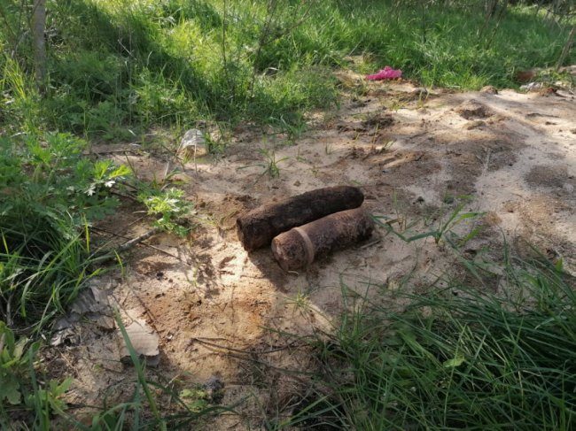 На Волині грибники знайшли снаряди часів Другої Світової війни