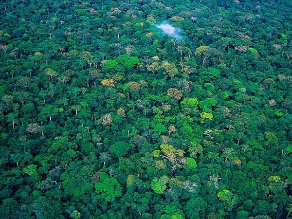 Чудеса світу, які можуть зникнути в найближчі 20 років. ФОТО