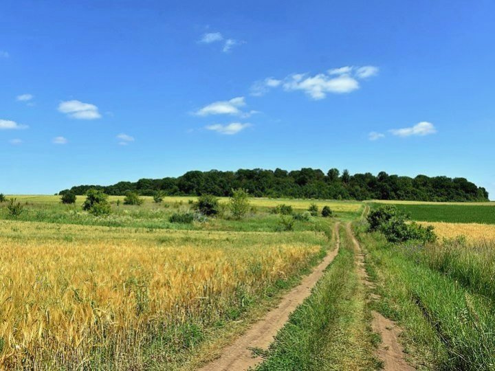 Погода в Луцьку та Волинській області на завтра, 6 липня