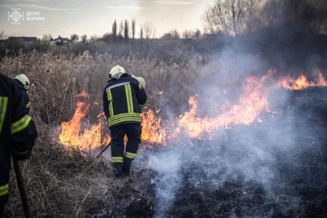 У Луцьку ліквідували масштабну пожежу сухостою на Гнідавському болоті