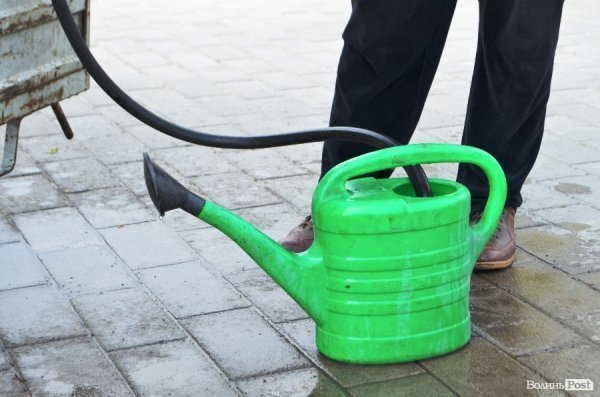 Як заквітчують центральну площу Луцька. ФОТО