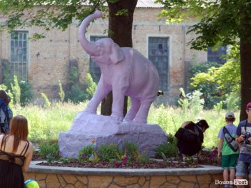 У Луцьку не можуть привести до ладу ботанічний сад: назвали причину 