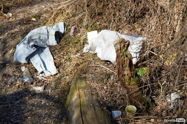 У луцькому парку зноситимуть дерева