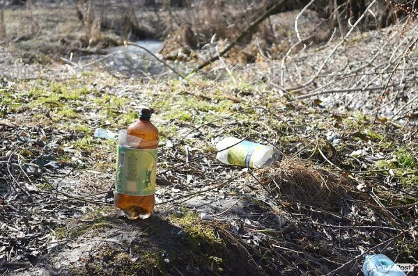 У луцькому парку зноситимуть дерева