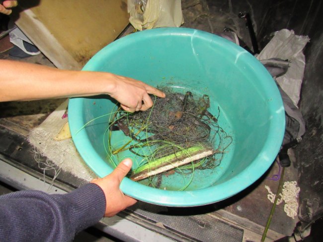 Рятували риб і конфісковували сітки: як на Волині минув тиждень «полювання» на рибалок-браконьєрів 