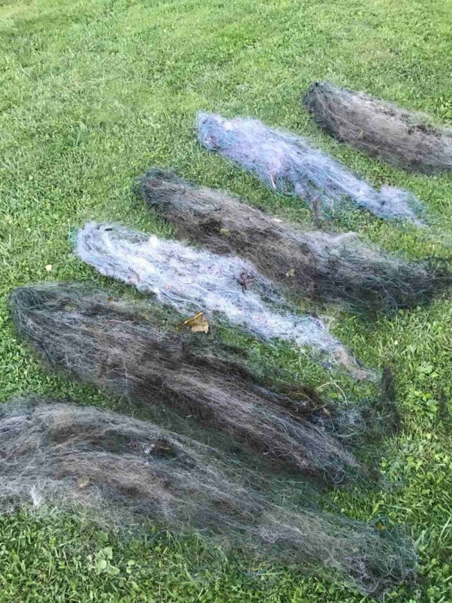 Рятували риб і конфісковували сітки: як на Волині минув тиждень «полювання» на рибалок-браконьєрів 