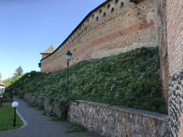 Стало відомо, скільки витратили на розчищення валів Луцького замку