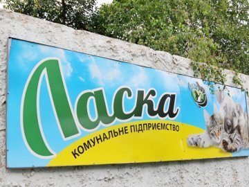 «Ласка» за 2016 рік витратила майже 1,5 мільйона гривень