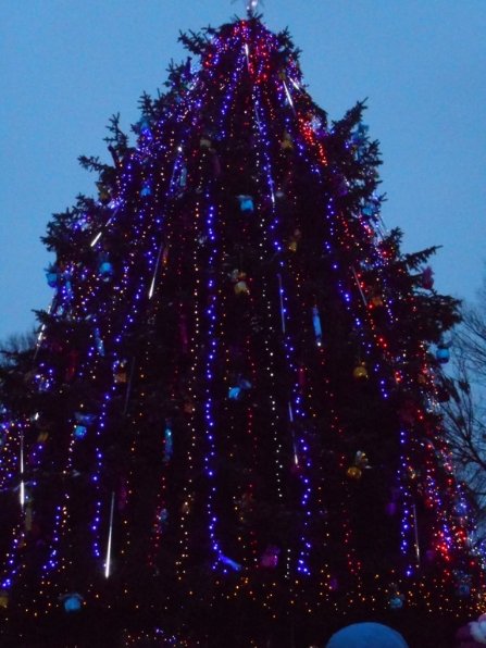 Головні новорічні ялинки Волині. ФОТО