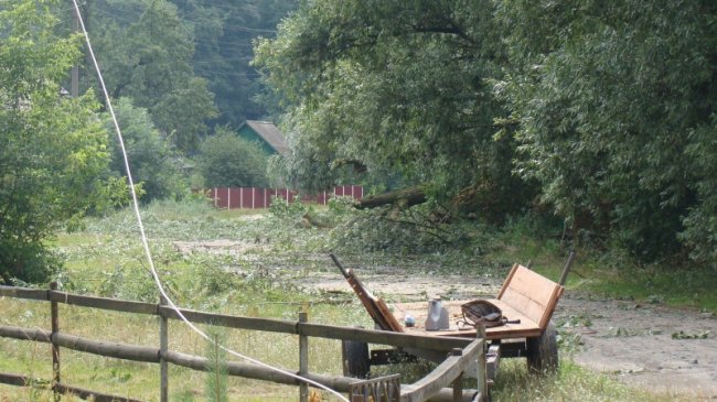 Повалені дерева, пошкоджений будинок і зупинка: у районі на Волині буревій наробив лиха. ФОТО