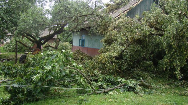 Повалені дерева, пошкоджений будинок і зупинка: у районі на Волині буревій наробив лиха. ФОТО