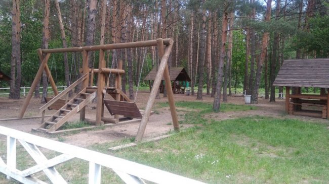 Відреагували миттєво: волинські лісівники прибрали рекреаційну зону, яку загидили відпочивальники