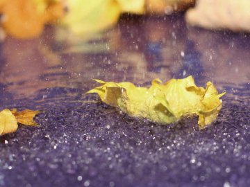 Погода в Луцьку та Волинській області на вівторок, 12 листопада