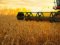 Волинські фермери пояснили, чому не хочуть сіяти пшеницю. ВІДЕО 