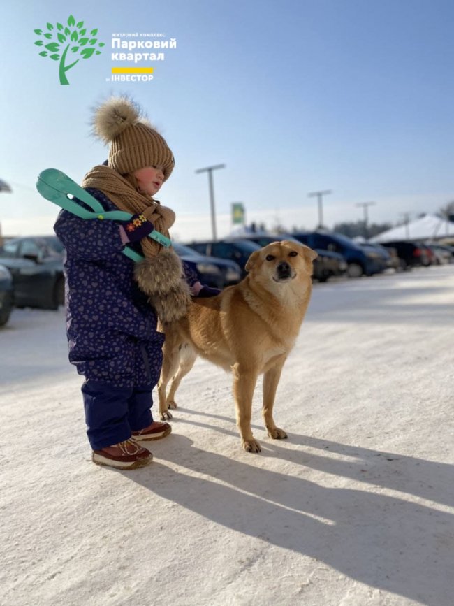 Засніжені будинки «Інвестора». ФОТО*
