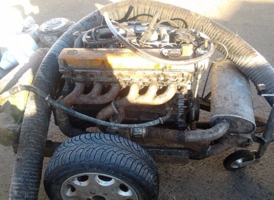 На Волині затримали банду бурштиношукачів. ФОТО