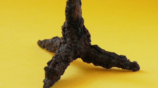 У Луцьку під час досліджень монастиря шариток знайшли 300 археологічних знахідок