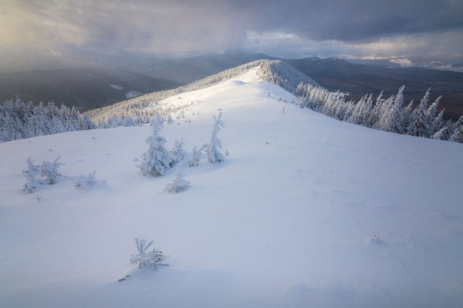 Луцький фотограф поділився світлинами засніжених Карпат