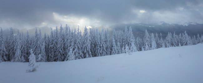 Луцький фотограф поділився світлинами засніжених Карпат