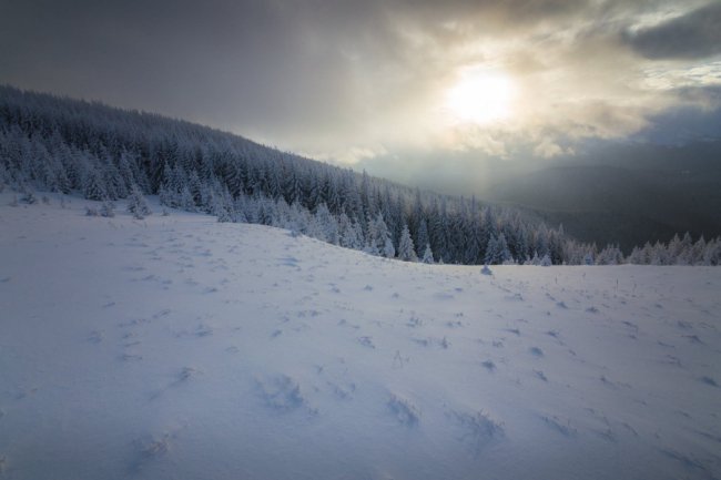 Луцький фотограф поділився світлинами засніжених Карпат