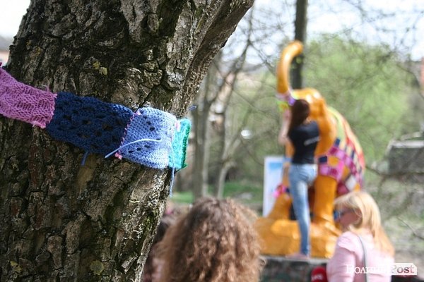 Луцького слоника одягли в’язаними клаптиками. ФОТО