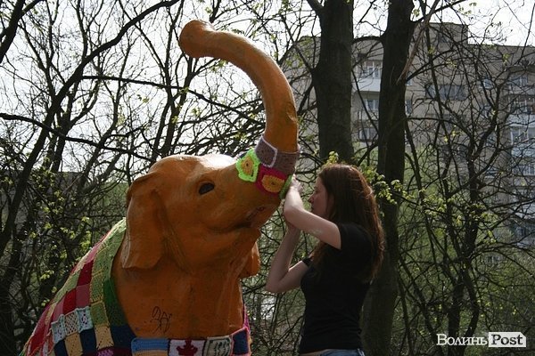 Луцького слоника одягли в’язаними клаптиками. ФОТО