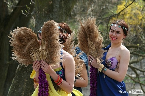 Луцького слоника одягли в’язаними клаптиками. ФОТО