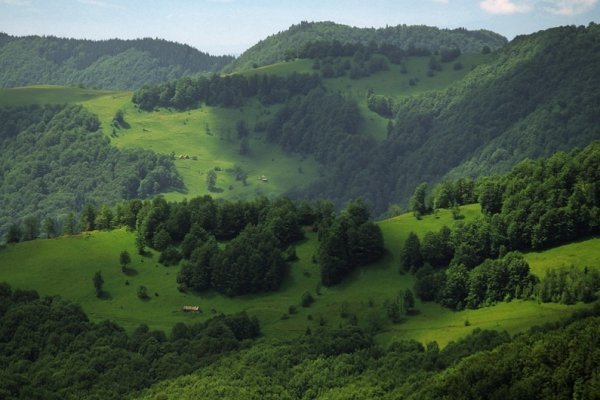 Фотовиставка Тараса Цибуха