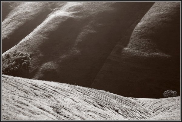 Фотовиставка Тараса Цибуха