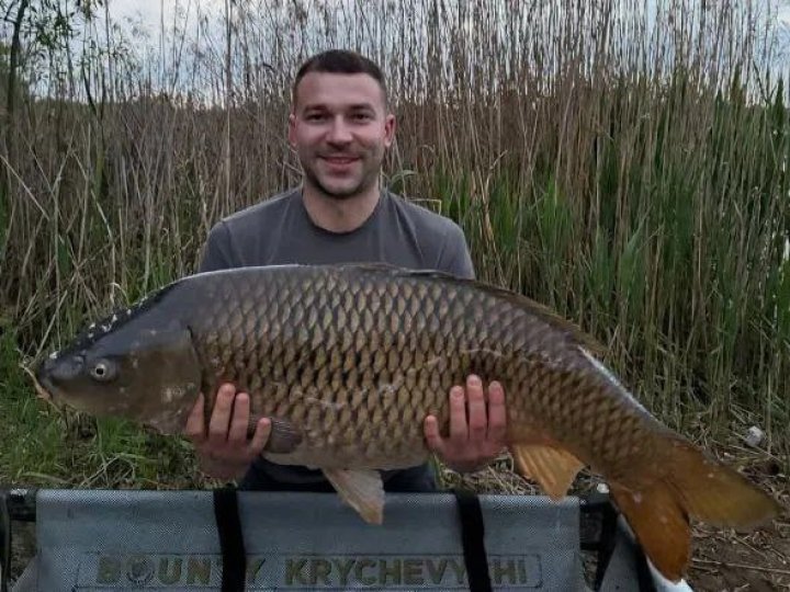 На Волині впіймали 10-кілограмового коропа
