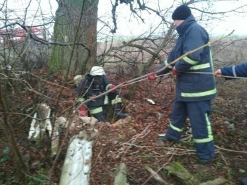 На Волині рятувальники витягли із колодязя мисливського пса