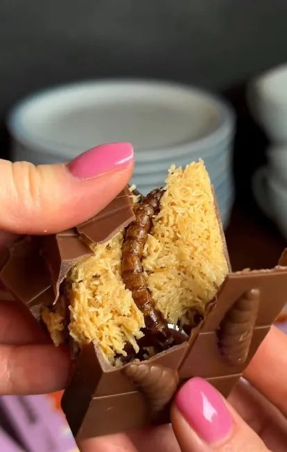 В «Аврорі» почали продавати шоколад з хрусткими личинками