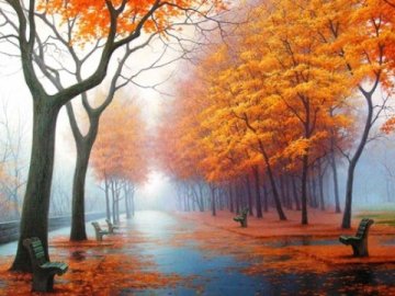 Погода в Луцьку та Волинській області на неділю, 17 листопада