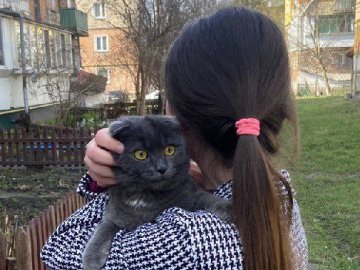 Бійцям ДСНС довелося рятувати львів’янку, яка хотіла допомогти котику