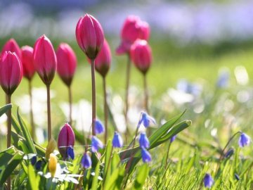 Погода в Луцьку та Волинській області на суботу, 8 травня