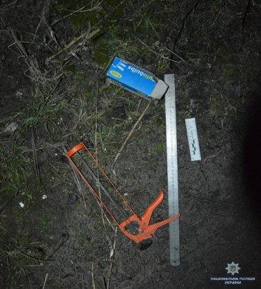 У Ковелі на парковці обікрали авто. ФОТО