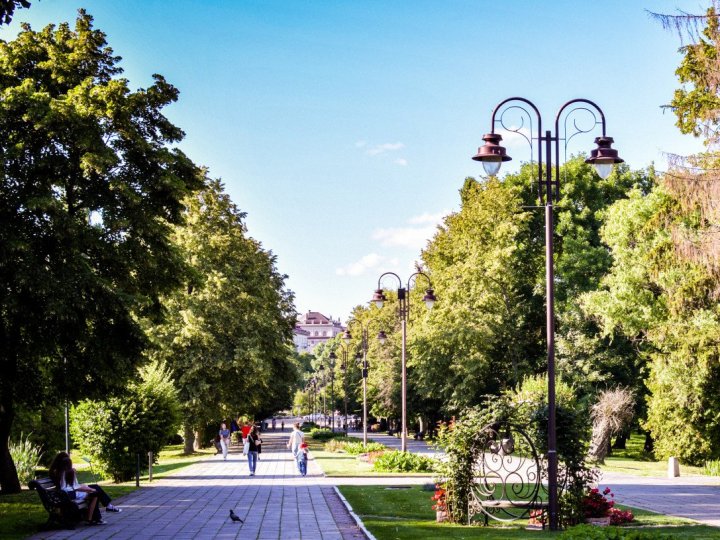 У луцькому парку планують встановити оглядове колесо