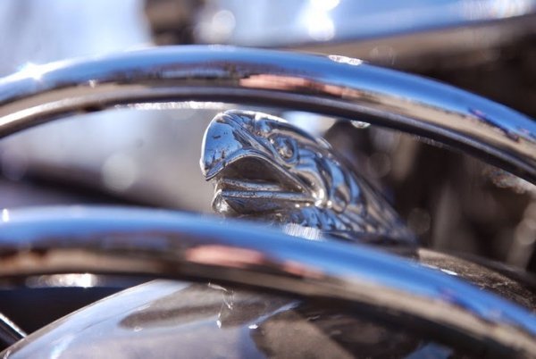 У Луцьку байкери збирали гроші для сиротинця