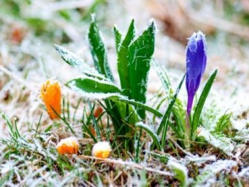 Погода в Луцьку та Волинській області на вівторок, 2 березня