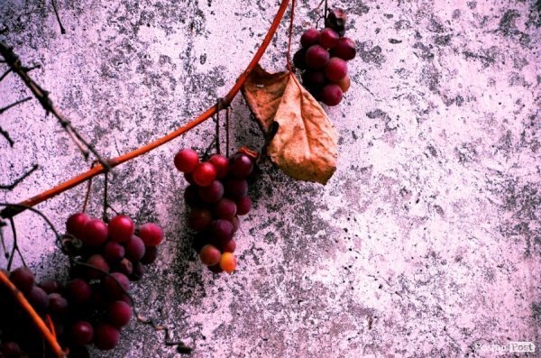 Фотопогляд: проспект Молоді 