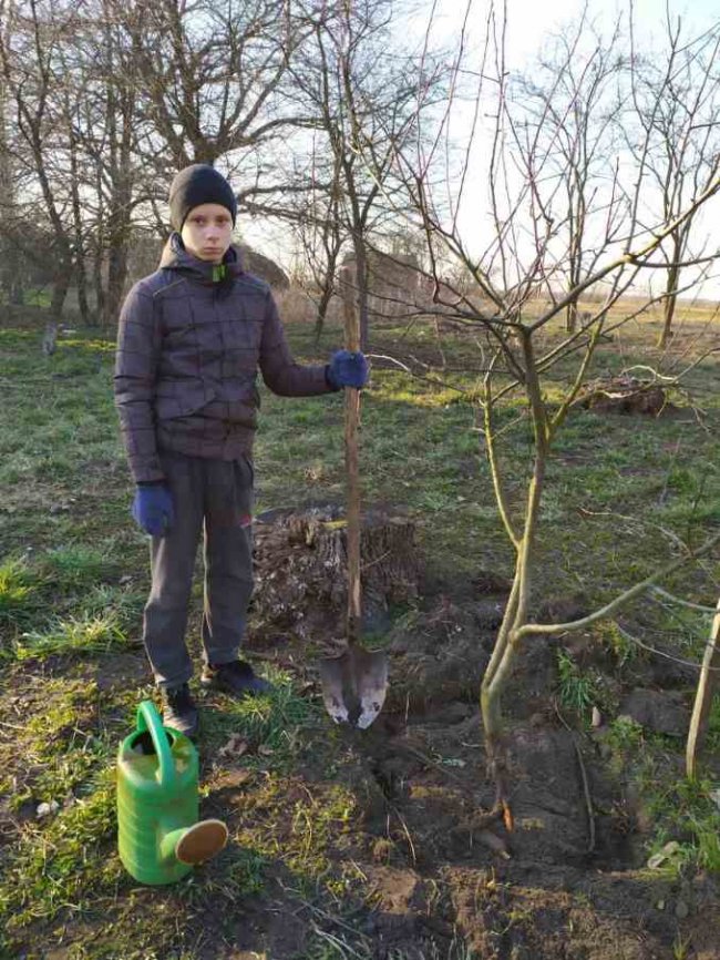 #Янакарантині: на Волині учні запустили флешмоб. ФОТО