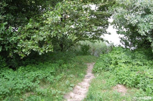 Стежка до ставка